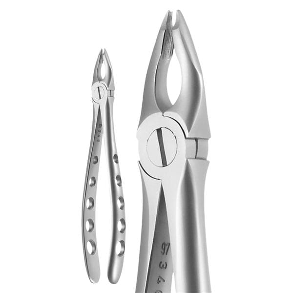 AA Pro: Tooth Extraction Forceps 39L Dental Instruments - AbuMaizar Dental  Roots Clinic