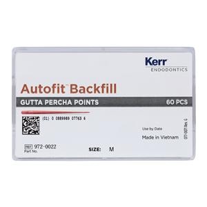 Autofit Backfill Cones Gutta Percha Medium 60/Pk