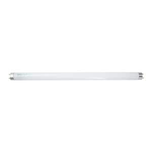 Bulb 6500K Daylight Fluorescent 15 Watt Ea