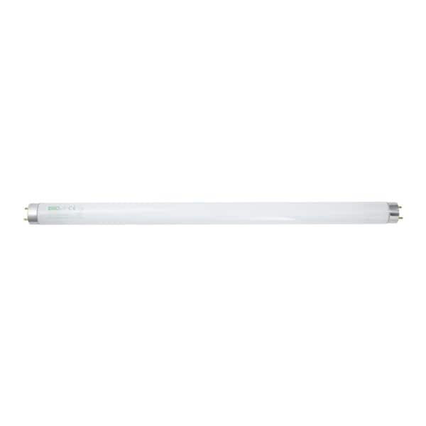 Bulb 6500K Daylight Fluorescent 15 Watt Ea