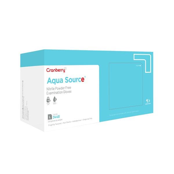 Aqua Source Exam Gloves Large Aqua Non-Sterile