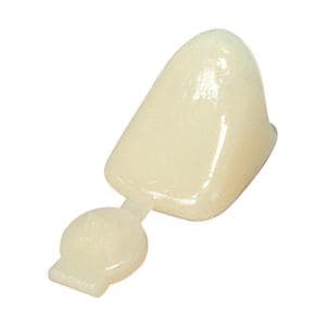 3M™ Polycarbonate Crowns Size 37 Lft Cspd Upr&Lwr Replacement Crowns 5/Bx