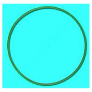 Door Gasket For Chemiclave 6000 Each